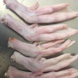 Frozen Duck Paws