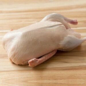 Frozen Duck